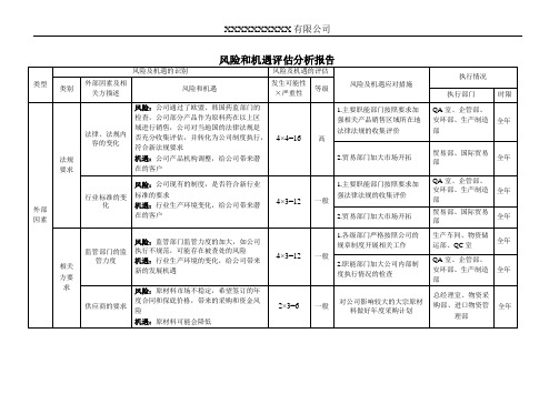 风险和机遇评估分析报告