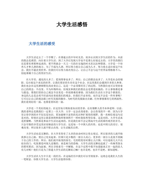 大学生活感悟范文集锦(4篇)