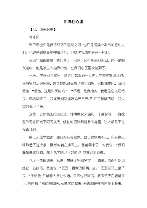初三作文:泪流在心里作文600字