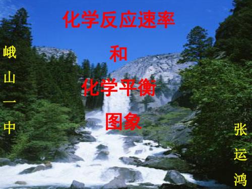 化学反应速率与化学平衡图象ppt 人教课标版