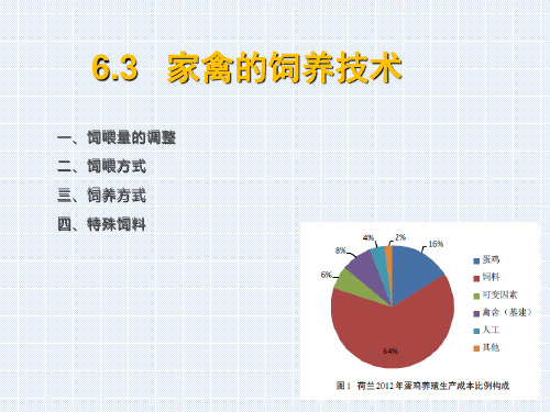 家禽的饲养技术