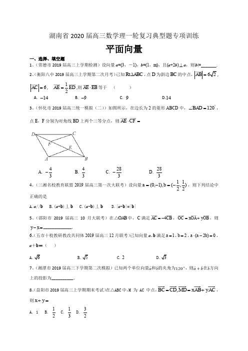 湖南省2020届高三数学理一轮复习典型题专项训练：平面向量