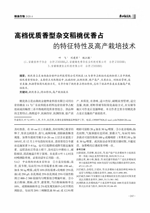 高档优质香型杂交稻桃优香占的特征特性及高产栽培技术