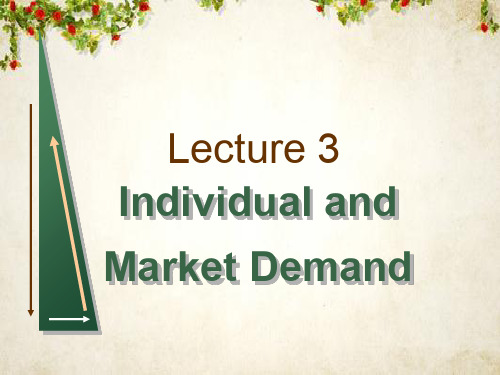 Tsinghua_2005MBA_Lecture_03(Individual and Market Demand(ppt 93页)(英文)