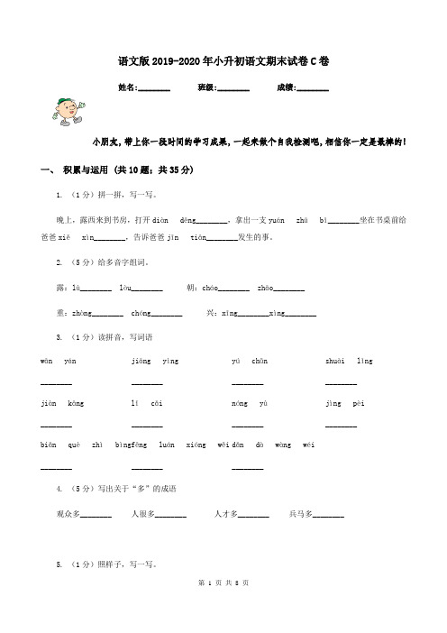 语文版2019-2020年小升初语文期末试卷C卷