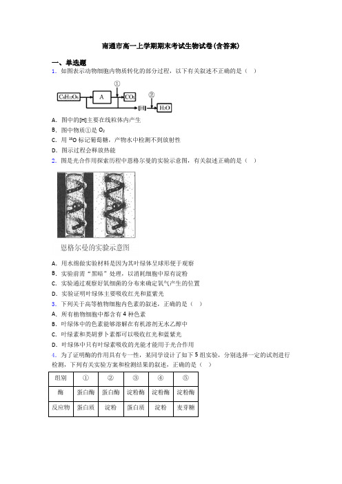 南通市高一上学期期末考试生物试卷(含答案)