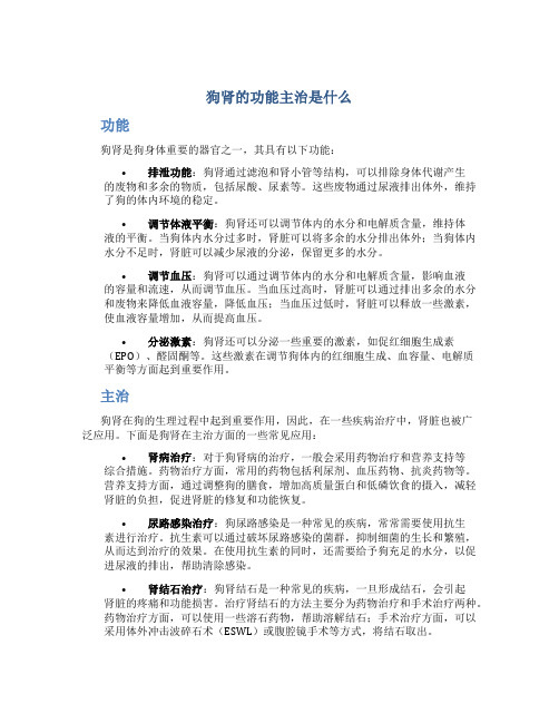 狗肾的功能主治是什么