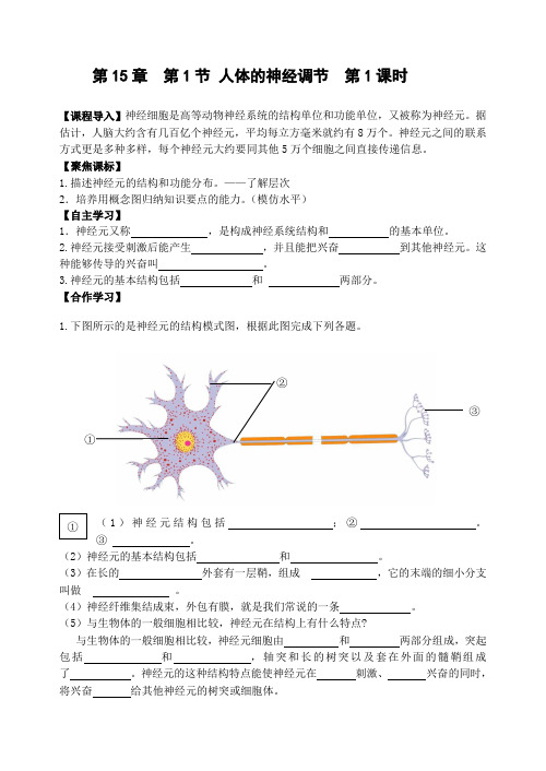 生物学科八年级上册人体的神经调节学案资料