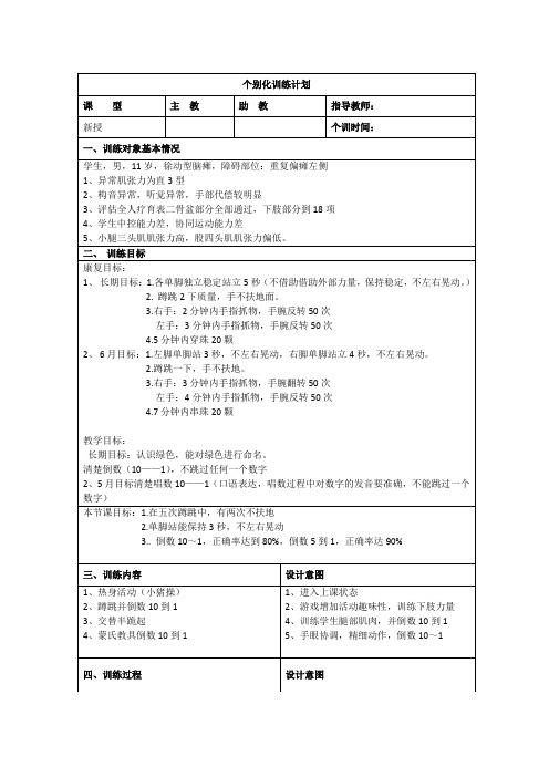 个别化训练计划