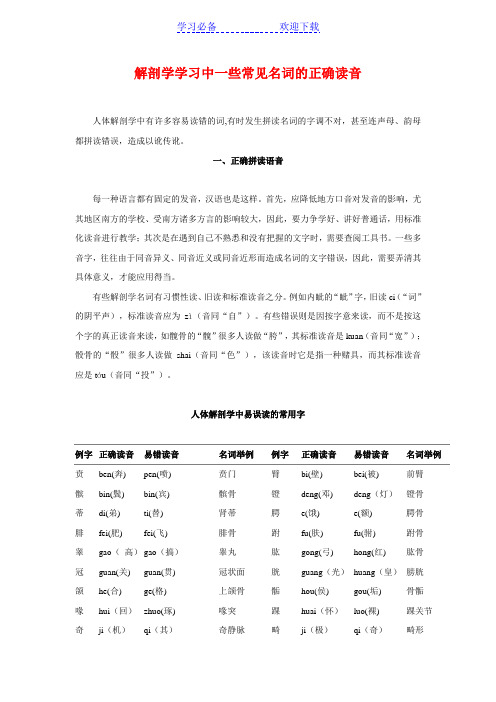 解剖学学习中一些常见名词的正确读音