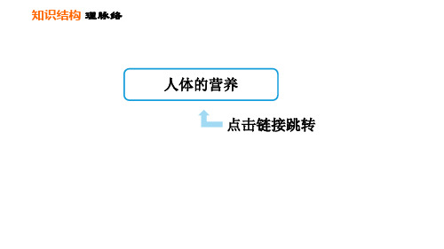 人教版七年级下册生物第2章第二章巩固强化复习习题课件