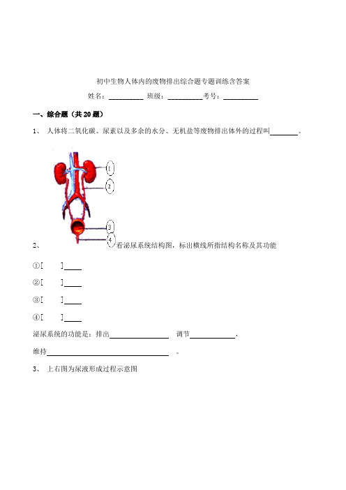 初中生物人体内的废物排出综合题专题训练含答案