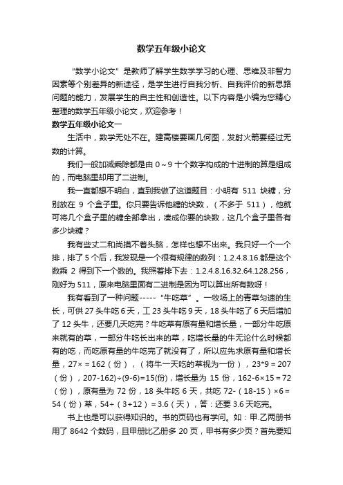 数学五年级小论文