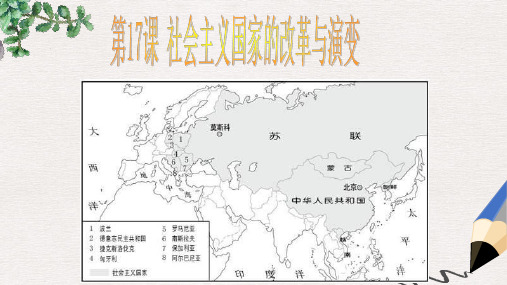 九年级历史下册第四单元第17课社会主义国家的改革与演变课件3华东师大版