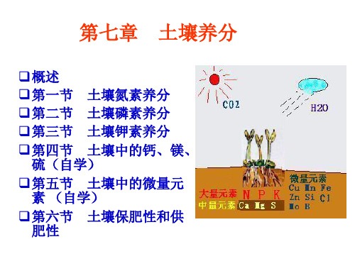 《土壤学》第七章土壤养分