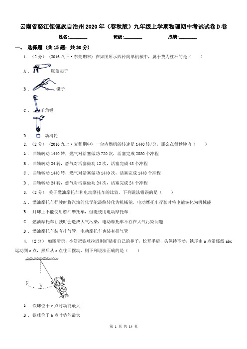 云南省怒江傈僳族自治州2020年(春秋版)九年级上学期物理期中考试试卷D卷