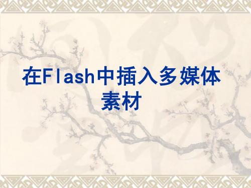 在Flash中插入多媒体素材