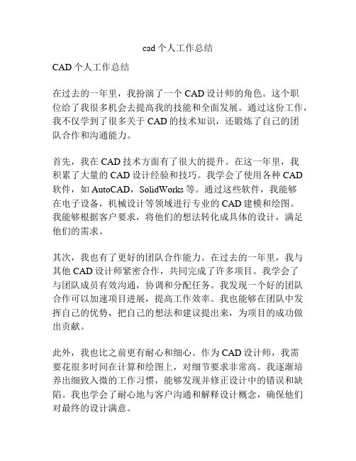 cad个人工作总结