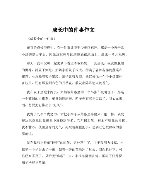 成长中的件事作文