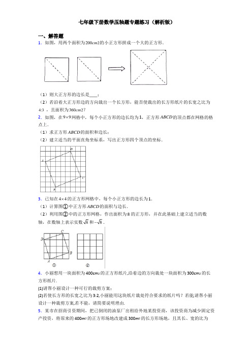 【初中数学】七年级下册压轴题专项练习(解析版)