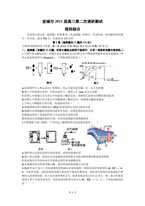 2011年安徽省宣城市高三第二次调研测试(生物试题)