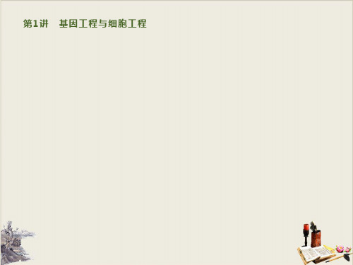 通用版高考生物二轮复习专题十第1讲基因工程与细胞工程PPT公开课课件12071410PPT