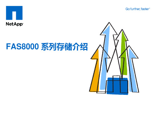 NetApp FAS8000系列存储介绍