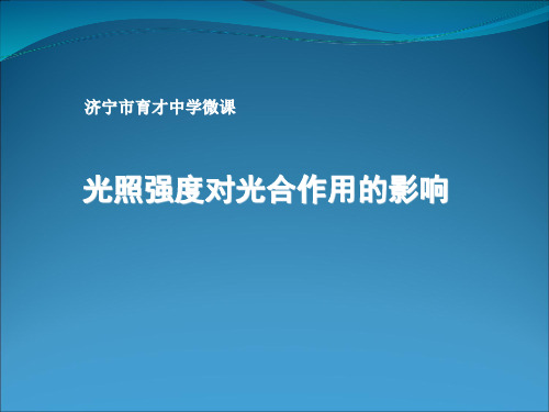 光照强度对光合作用的影响