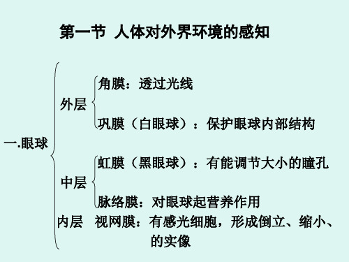 七年级下  人体对外界环境的感知