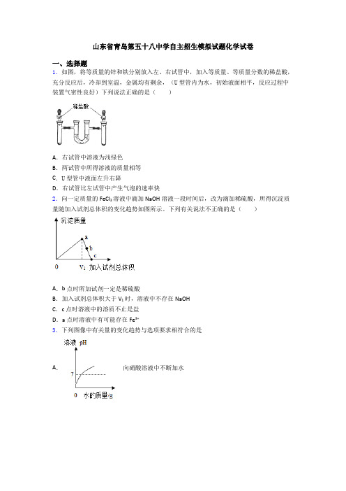 山东省青岛第五十八中学自主招生模拟试题化学试卷