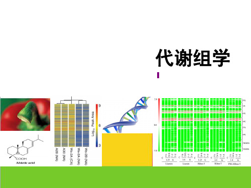 Lw——代谢组学