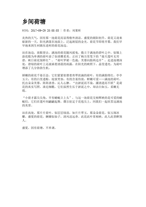 乡间荷塘