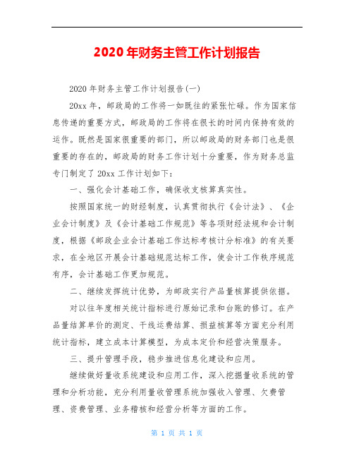 2020年财务主管工作计划报告