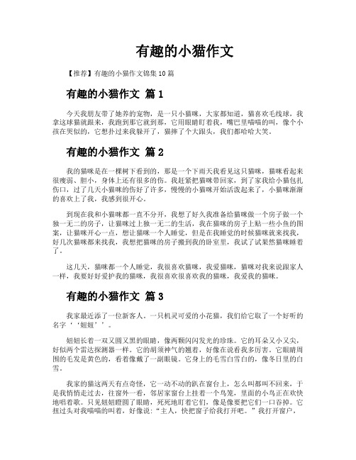 有趣的小猫作文