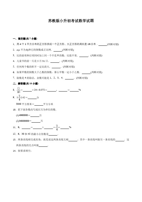 苏教版数学小升初模拟试卷含答案解析