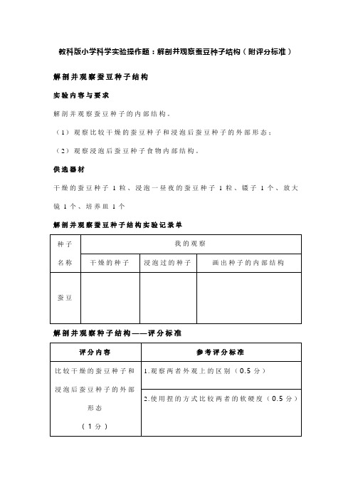 教科版小学科学实验操作题：解剖并观察蚕豆种子结构(附评分标准)