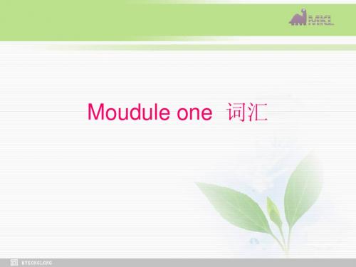 高中英语 Module 1 Europe词汇语法