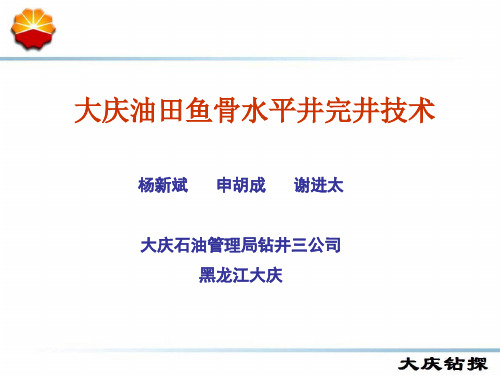 大庆油田鱼骨井水平井完井技术资料