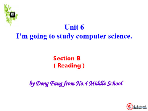 Unit6 Reading----优秀课件