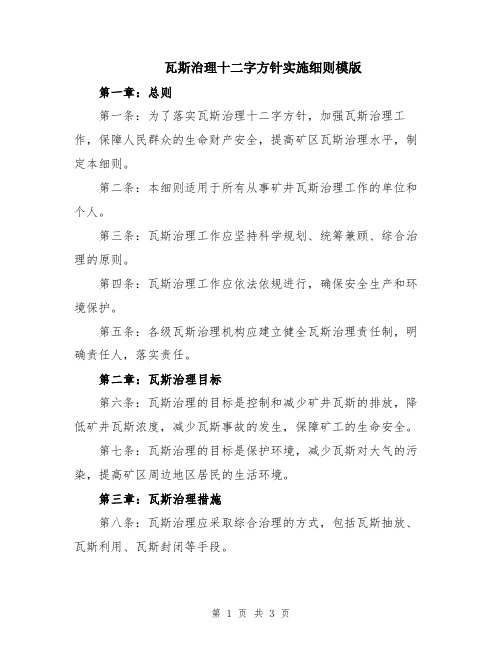 瓦斯治理十二字方针实施细则模版