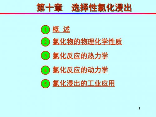 湿法冶金-第10章 选择性氯化冶金