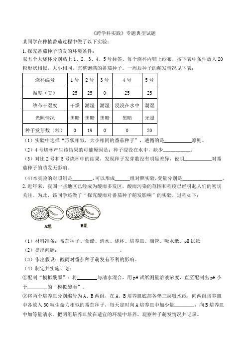 专题七 跨学科实践