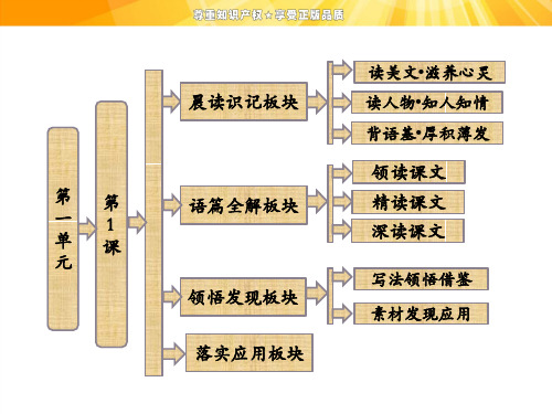 第一单元 第1课 我的母亲 优秀课件