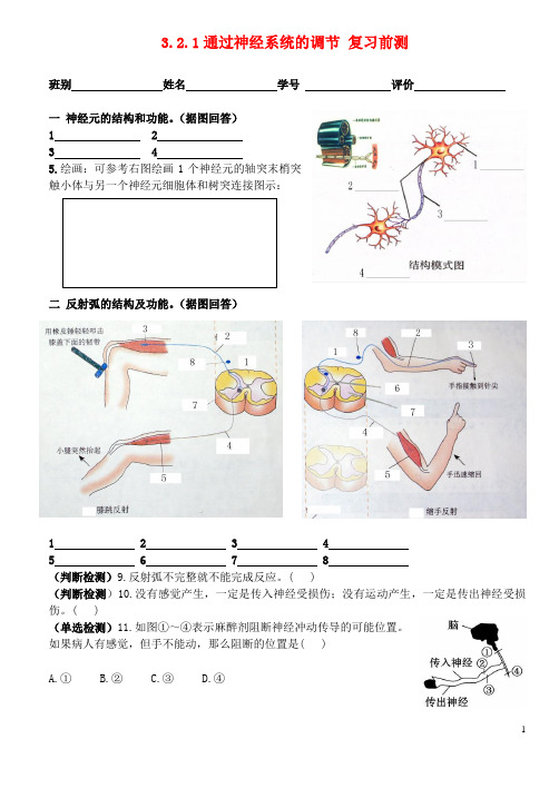 人教版2012-2013学年广东省广州市高中生物 通过神经系统的调节复习前测试题 新人教版