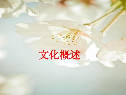 文化概述