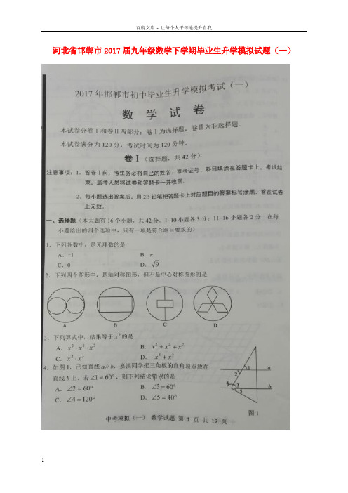 九年级数学下学期毕业生升学模拟试题一扫描版