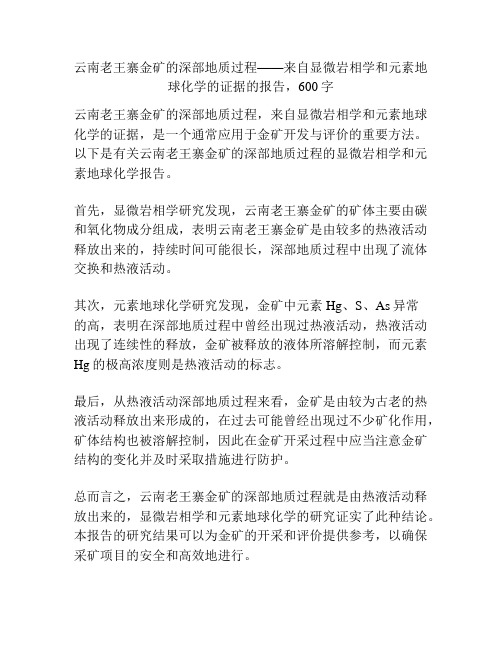 云南老王寨金矿的深部地质过程——来自显微岩相学和元素地球化学的证据