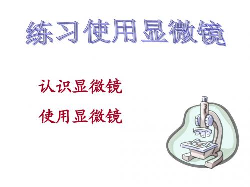 显微镜的结构和使用ppt