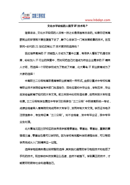 文化水平较低的人能学IT技术吗?