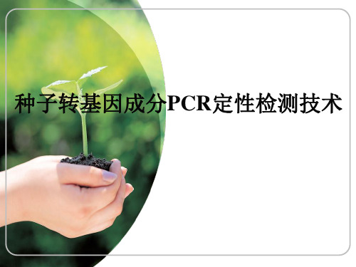 转基因成分PCR定性检测技术